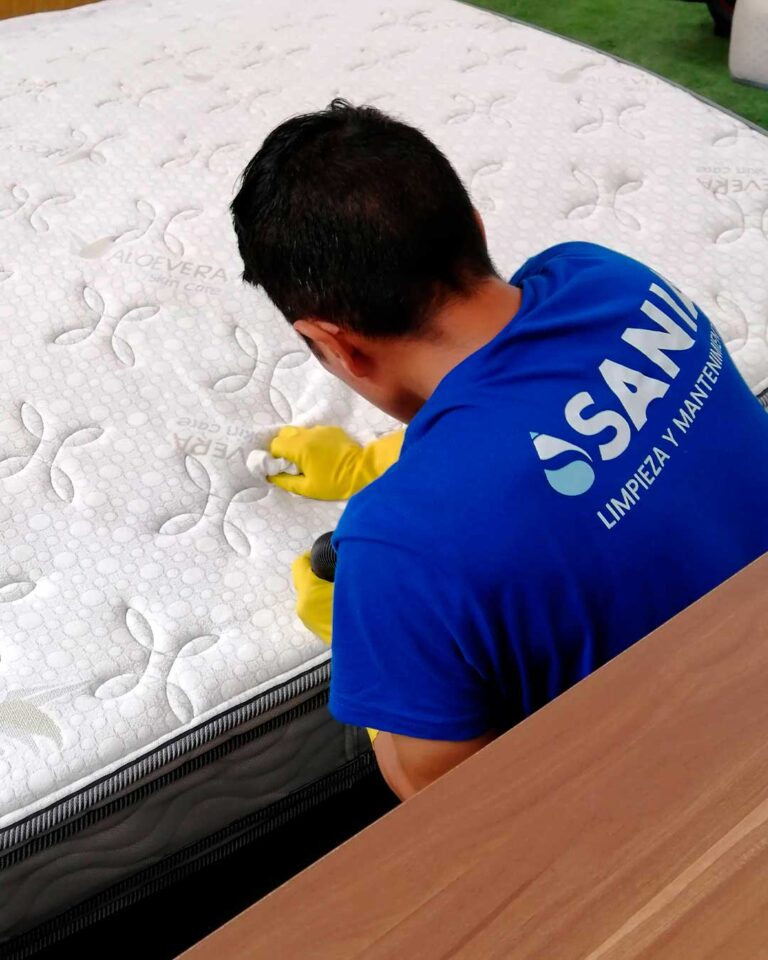 Servicio-02-sup-blandas-01