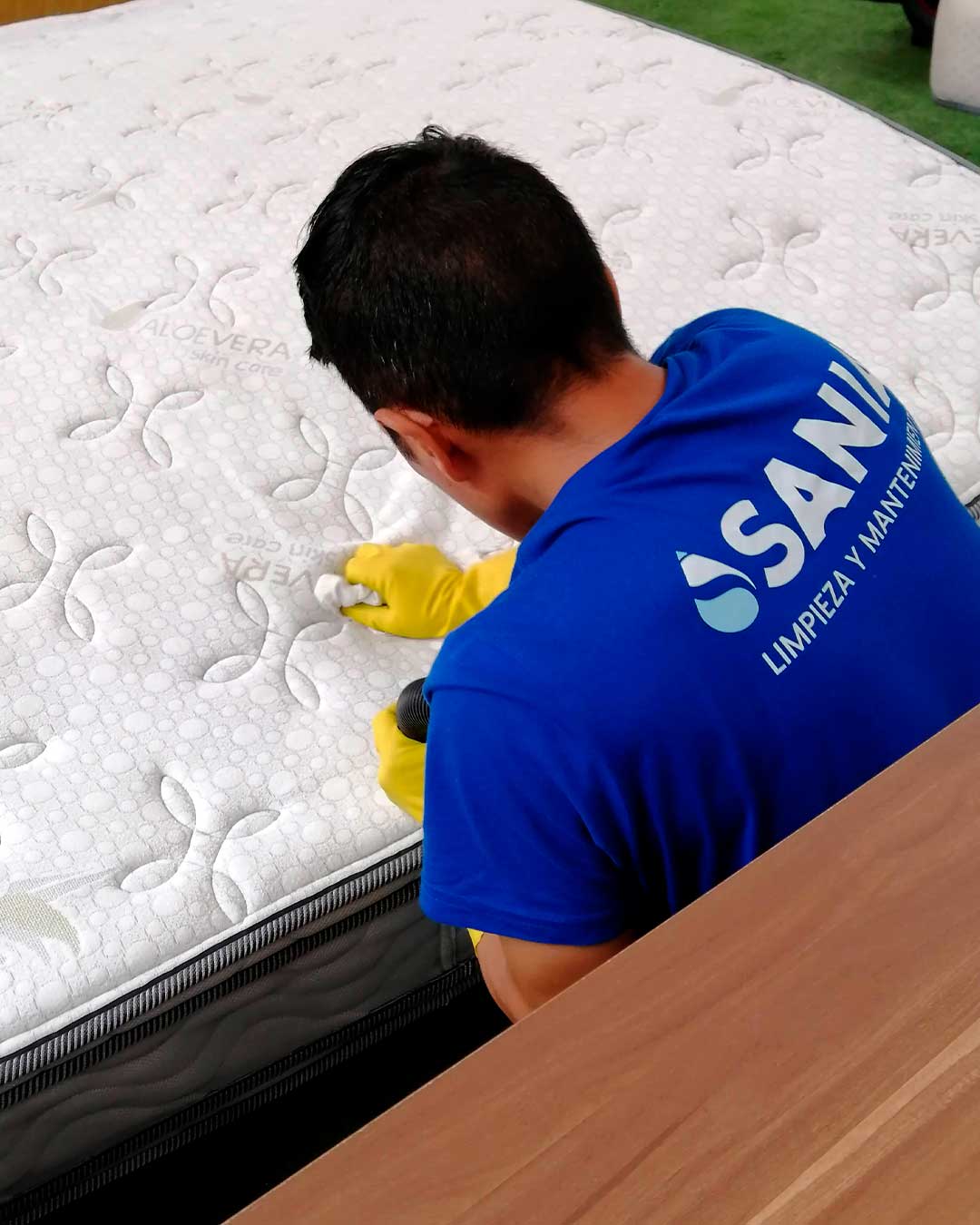 Servicio-02-sup-blandas-01