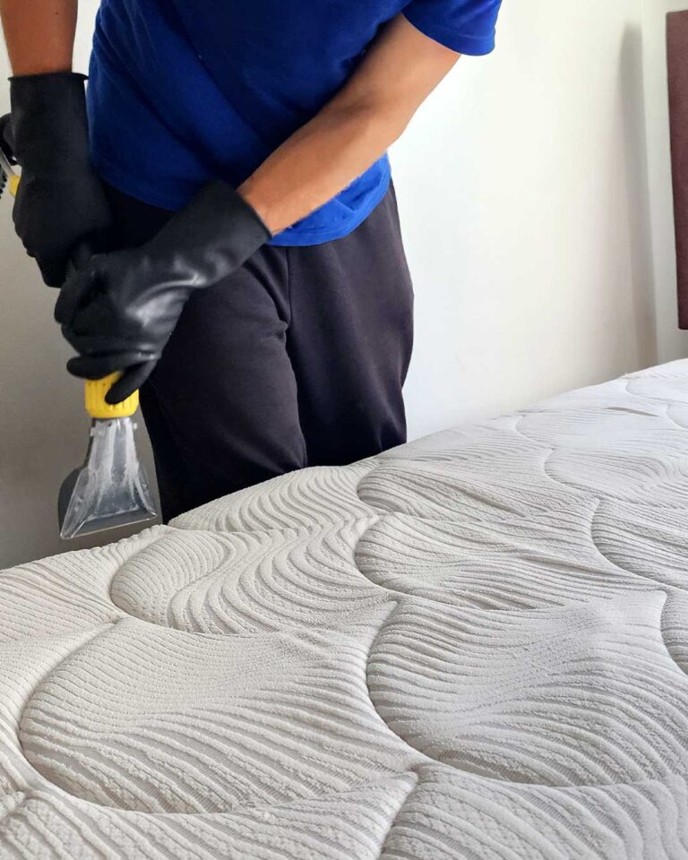 Servicio-02-sup-blandas-02