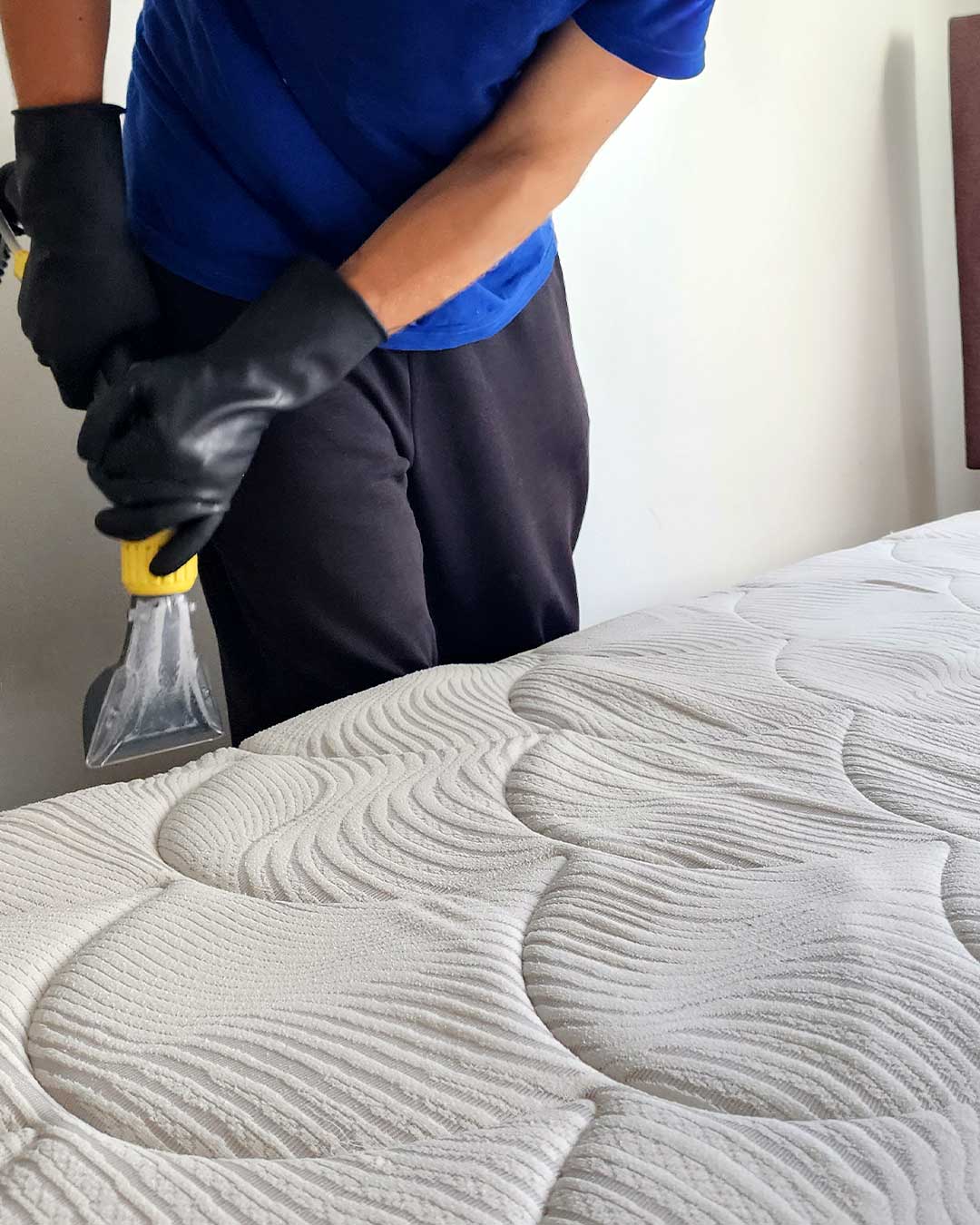 Servicio-02-sup-blandas-02